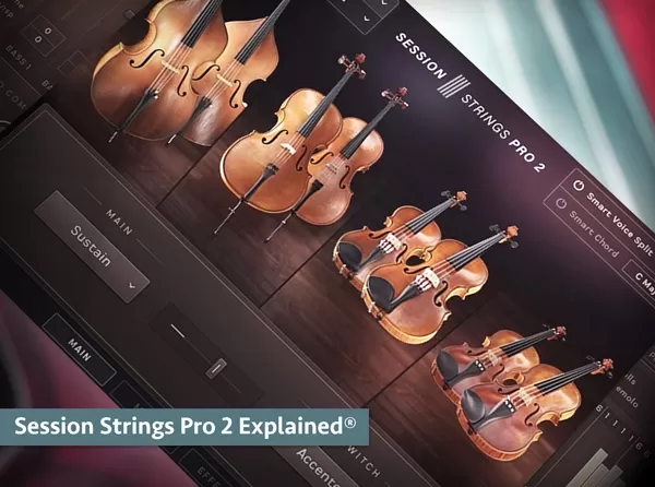 Session Strings Pro 2 Explained