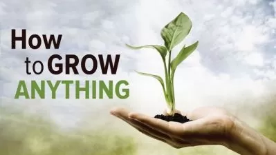 چگونه هر چیزی را رشد دهیم: بهترین باغ و منظره شما در 6 درس