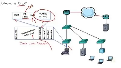Cisco CCNP Enterprise Core (350-401 ENCOR) - استراتژی علامت گذاری QoS Deep Dive