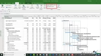 Microsoft Project 2019 برای مبتدیان