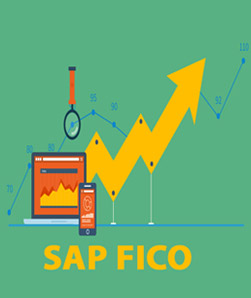 حسابداری مالی SAP