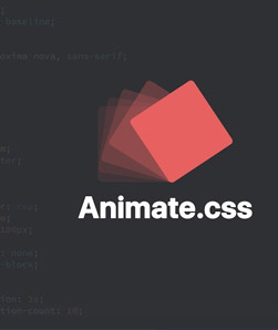 انیمیشن های CSS