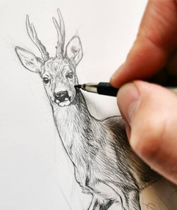 طراحی