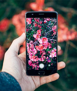 Mobile Photography