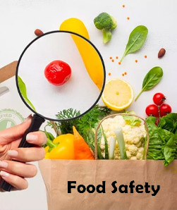 Food Safety