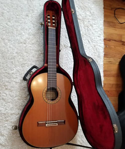 Guitar