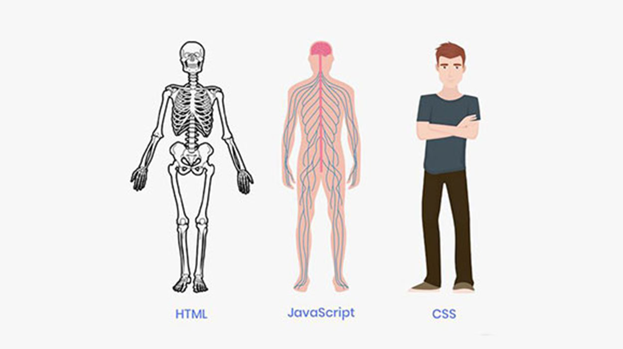 تفاوت css و html